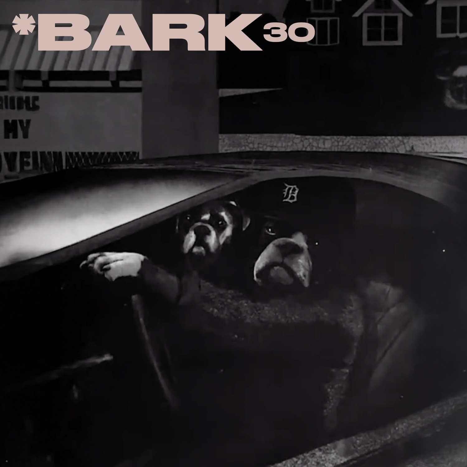 *Bark 30